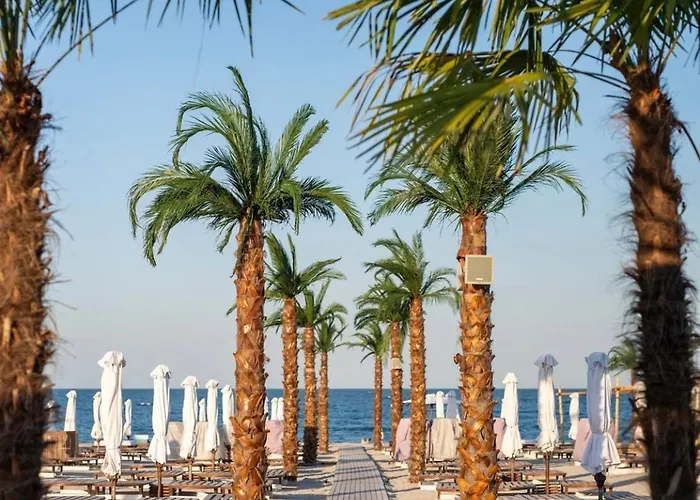 Moft By White Tower Mamaia